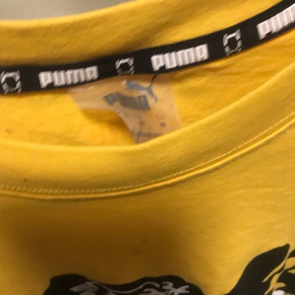 Puma - Picture 2 of 3